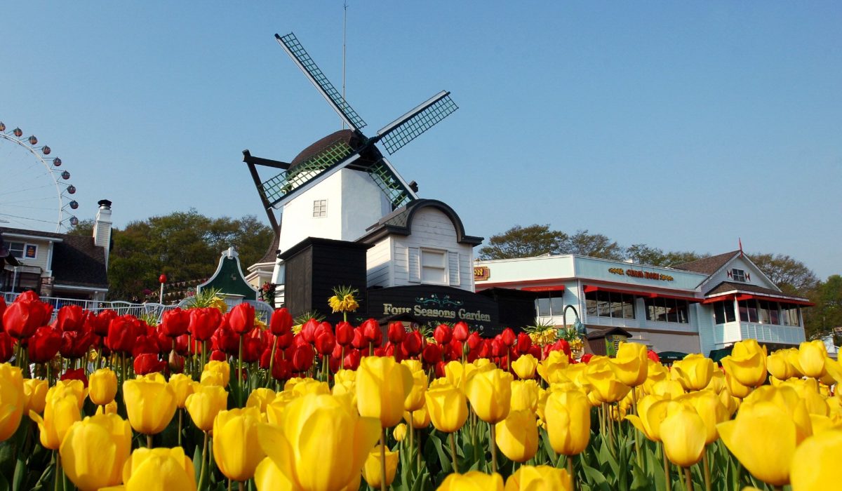 Korea Everland